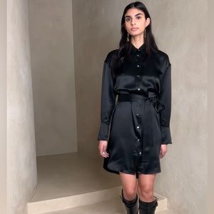 Banana Republic Silk Shirt Dress
